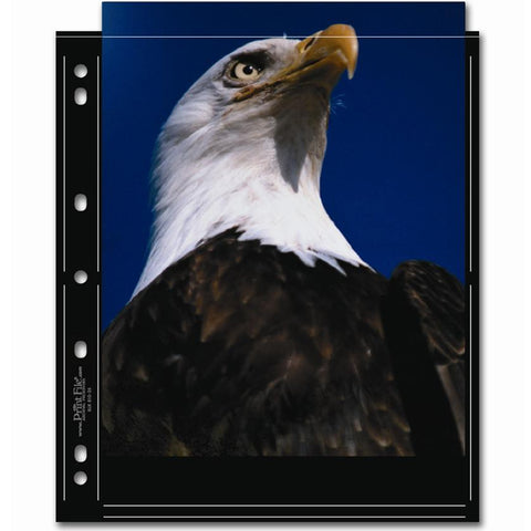 PRINT FILE 8" x 10" Photo Pages Sleeves Clear Archival Preservers 810-2S (50 Pages) - Korade.com